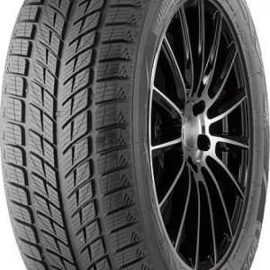 DOUBLESTAR DW09 109H XL 255/50/R20 Žieminė