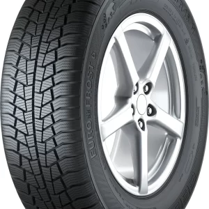 GISLAVED Euro Frost 6 91T 205/55/R16 Žieminė