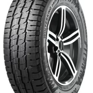 DOUBLESTAR DW06 99T C - COMMERCIAL 195/60/R16 Žieminė