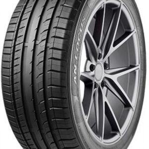 Antares INGENS-LOCUS 100W XL 275/35/R19 Vasarinė