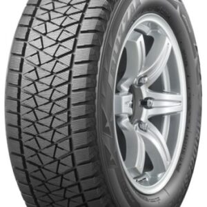 BRIDGESTONE DM-V2 96R 195/80/R15 Žieminė