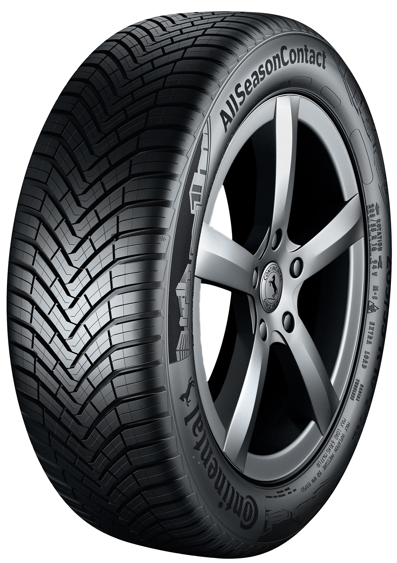 CONTINENTAL ALLSEASONCONTACT 102H XL 215/65/R16 Universali