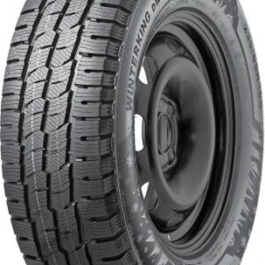 DOUBLESTAR DOUBLESTAR DW06 104/102R 215/65/R15 Žieminė