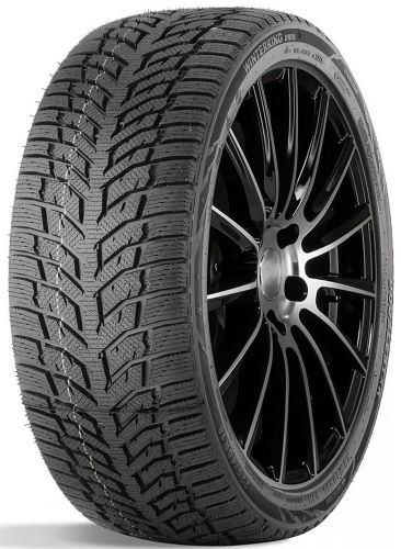 DOUBLESTAR DOUBLESTAR DW08 97T 225/55/R17 Žieminė