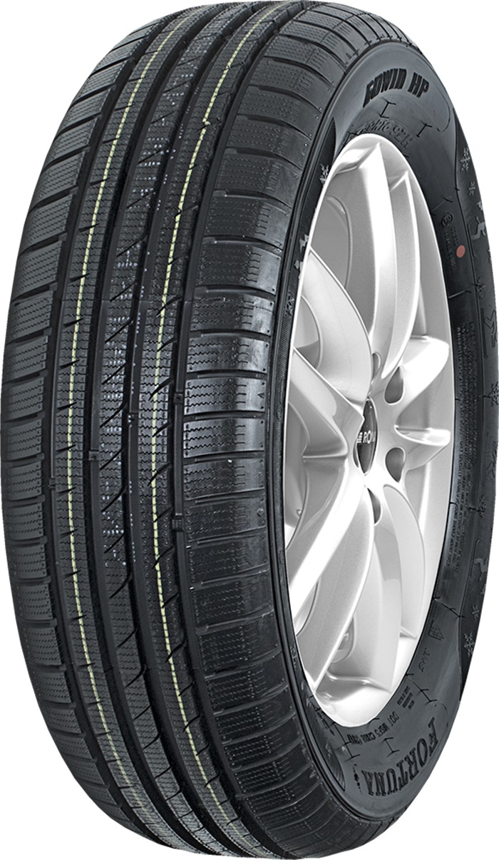 Gepormax Gowin HP 92H 205/60/R16 Žieminė