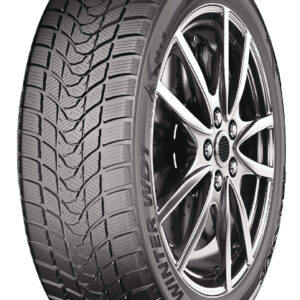 DELINTE DELINTE WINTER WD1 100H 245/50/R18 Žieminė