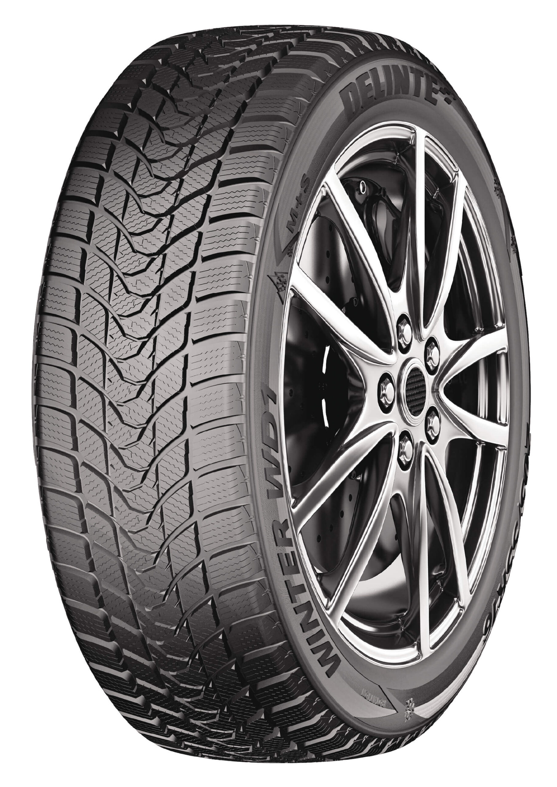 DELINTE DELINTE WINTER WD1 100H 245/50/R18 Žieminė