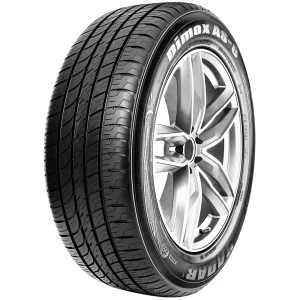 RADAR Dimax All Season 100Y XL 255/40/R19