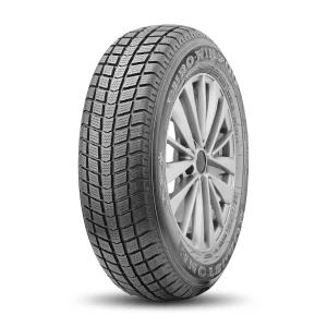 8807622136078 ROADSTONE Euro Win 104T C - COMMERCIAL 195/65/R16 Žieminė