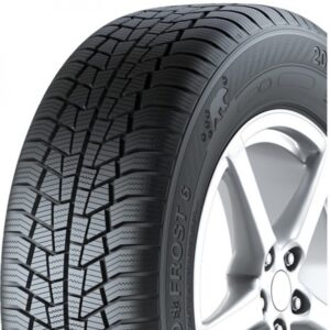 GISLAVED EURO*FROST 6 110V VIDUTINė 275/45/R20 Žieminė